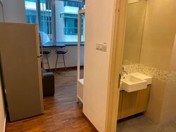 Lorong 41 Geylang (D14), Condominium #302653441